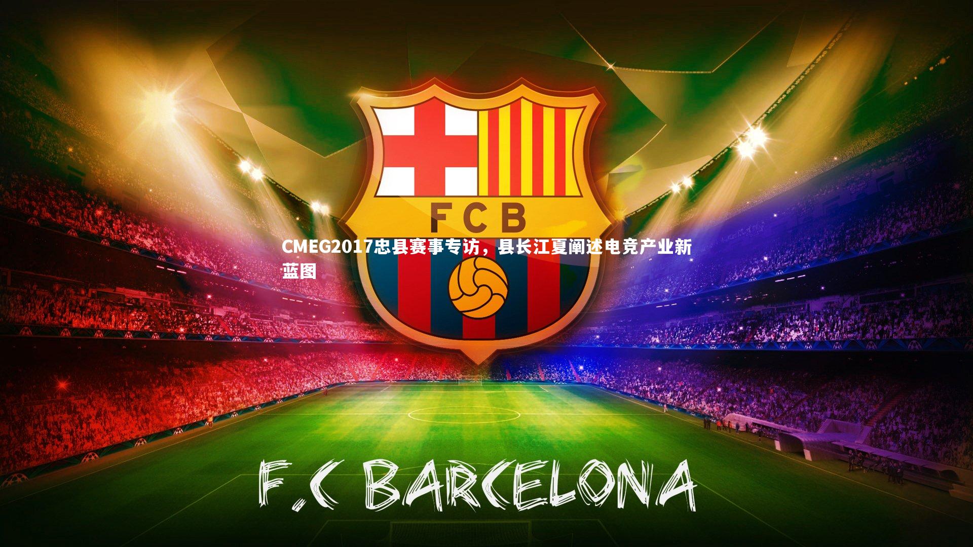 CMEG2017忠县赛事专访，县长江夏阐述电竞产业新蓝图